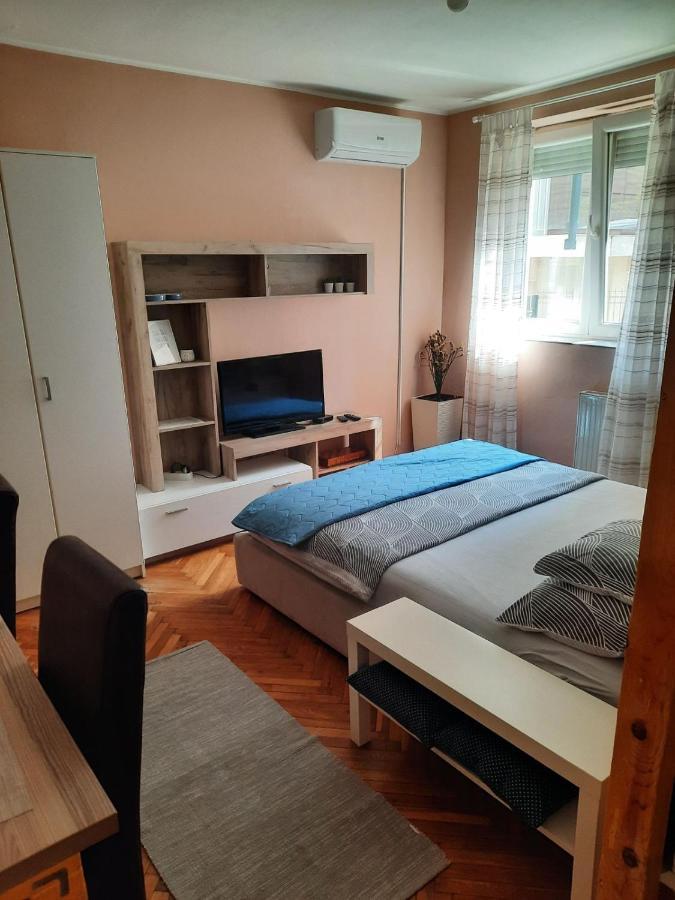 Apartmani Biljana Lazic Vrnjačka Banja Esterno foto