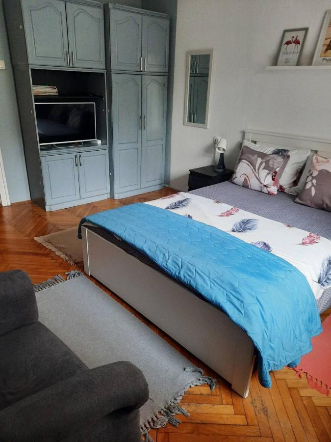 Apartmani Biljana Lazic Vrnjačka Banja Esterno foto