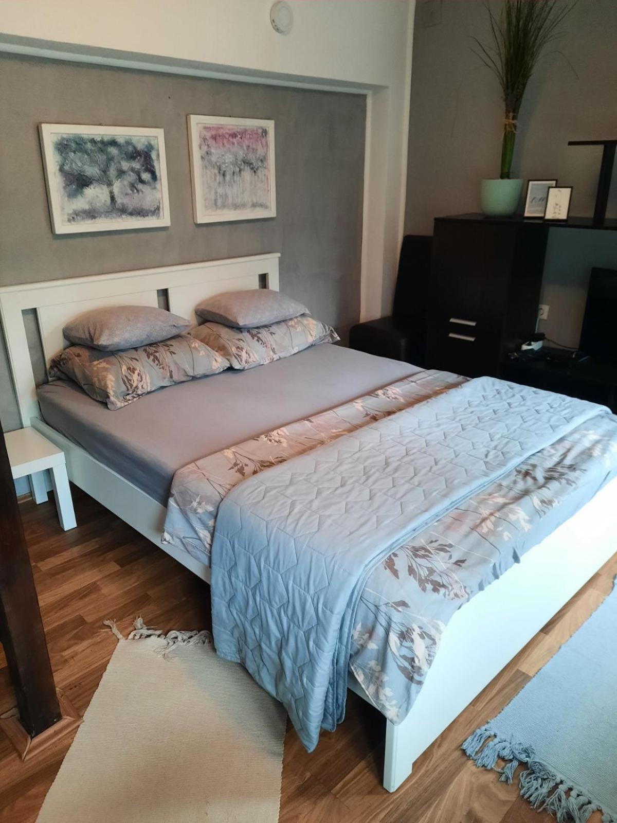 Apartmani Biljana Lazic Vrnjačka Banja Esterno foto